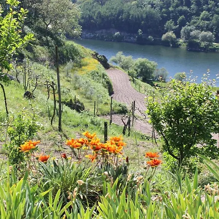 Bouça Drigues Casa Antiga De Pedra Com Piscina E Vista Rio