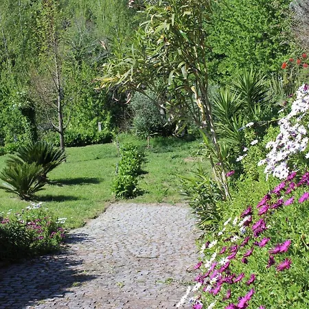 Bouça Drigues Casa Antiga De Pedra Com Piscina E Vista Rio *