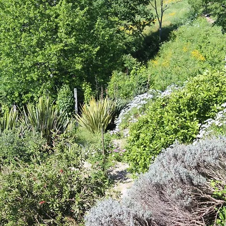Bouça Drigues Casa Antiga De Pedra Com Piscina E Vista Rio Amarante